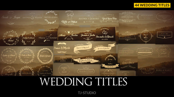 Wedding Titles - Download Videohive 17622074