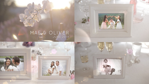 White Photo Gallery - Wedding and Special Events - Download Videohive 6714159