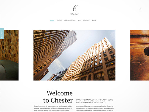 YooTheme Chester - Download Responsive WordPress Theme